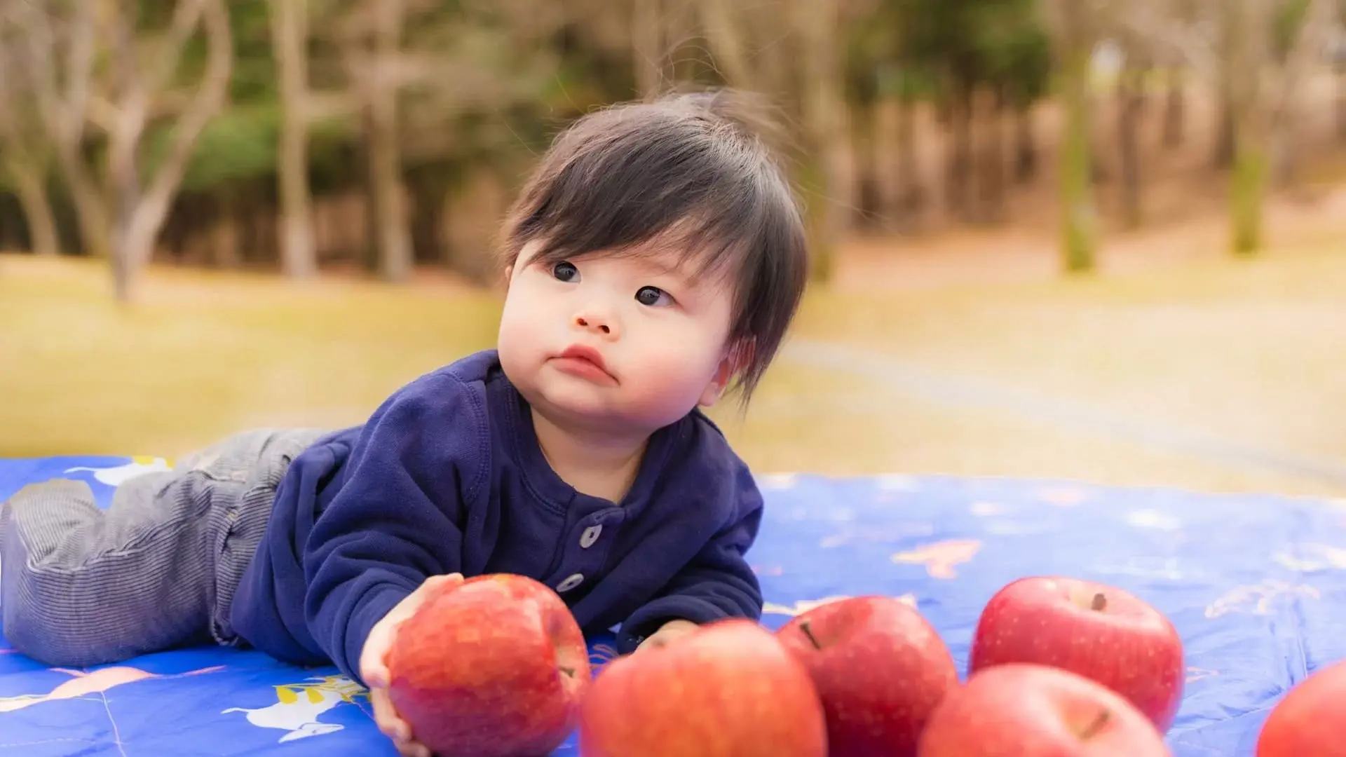 有限会社あおぞらが通販している東北の特産品、津軽産りんごと子供の写真